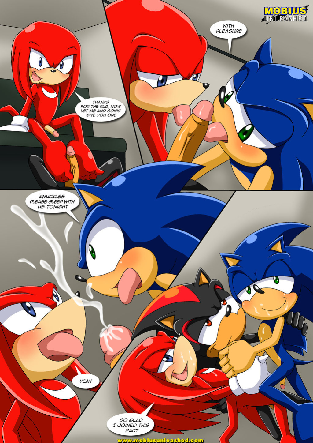 [Mobius Unleashed (Palcomix)] The Pact