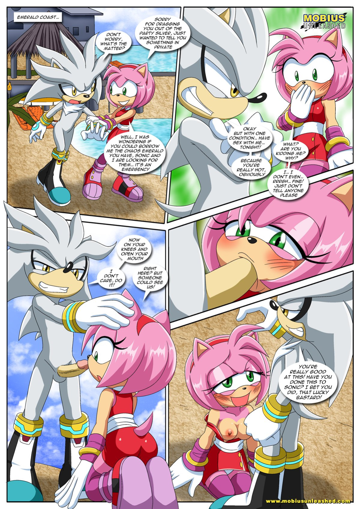 [Palcomix] Sonic Project XXX 4