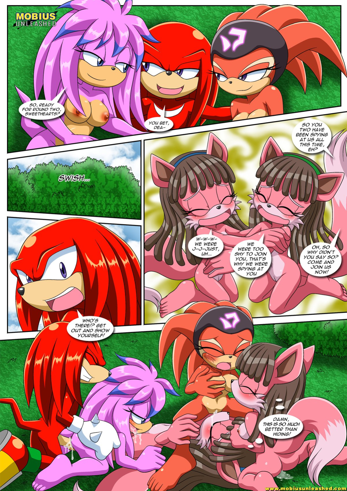 [Palcomix] Sonic Project XXX 4