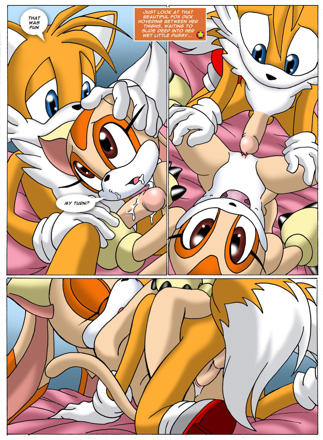 Sonic XXX Project: Collector's Edition ( 1 - 4 )