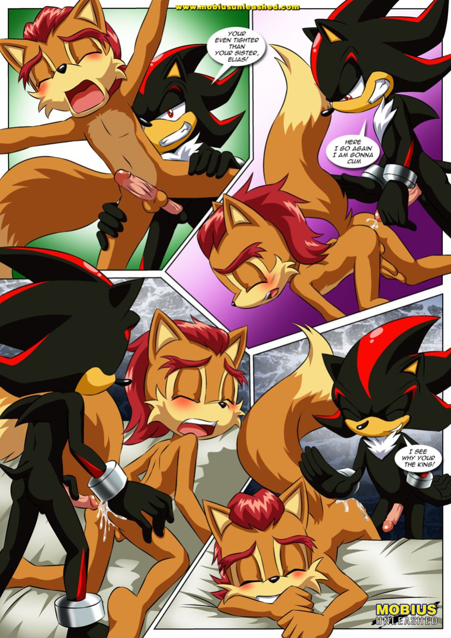 [Mobius Unleashed (Palcomix)] Royals and Villains