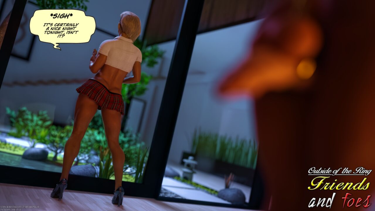 SquarePeg3D – Outside of the Ring – Friends and Foes