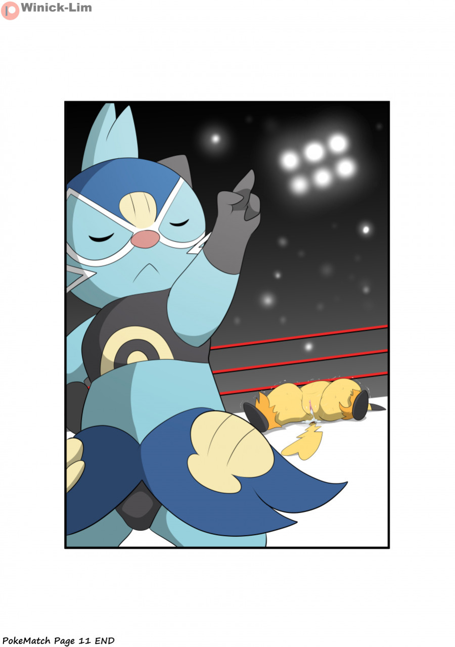 [Winick-Lim] PokeMatch