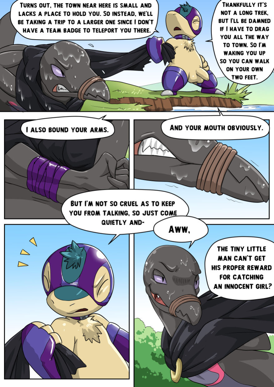 [Voidtails] The Hero and the thief (Pokemon)
