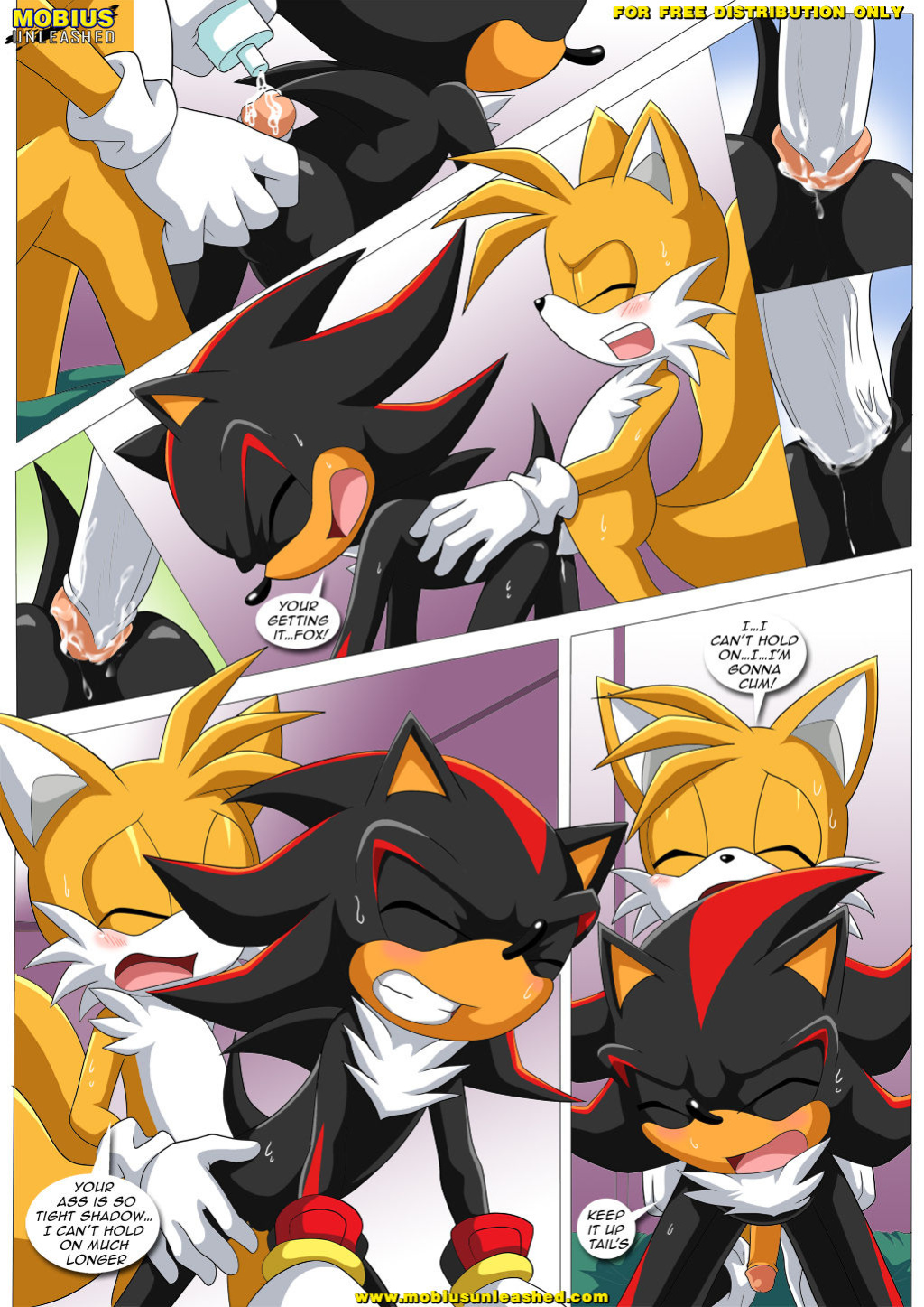 [Palcomix] Shadow & Tails