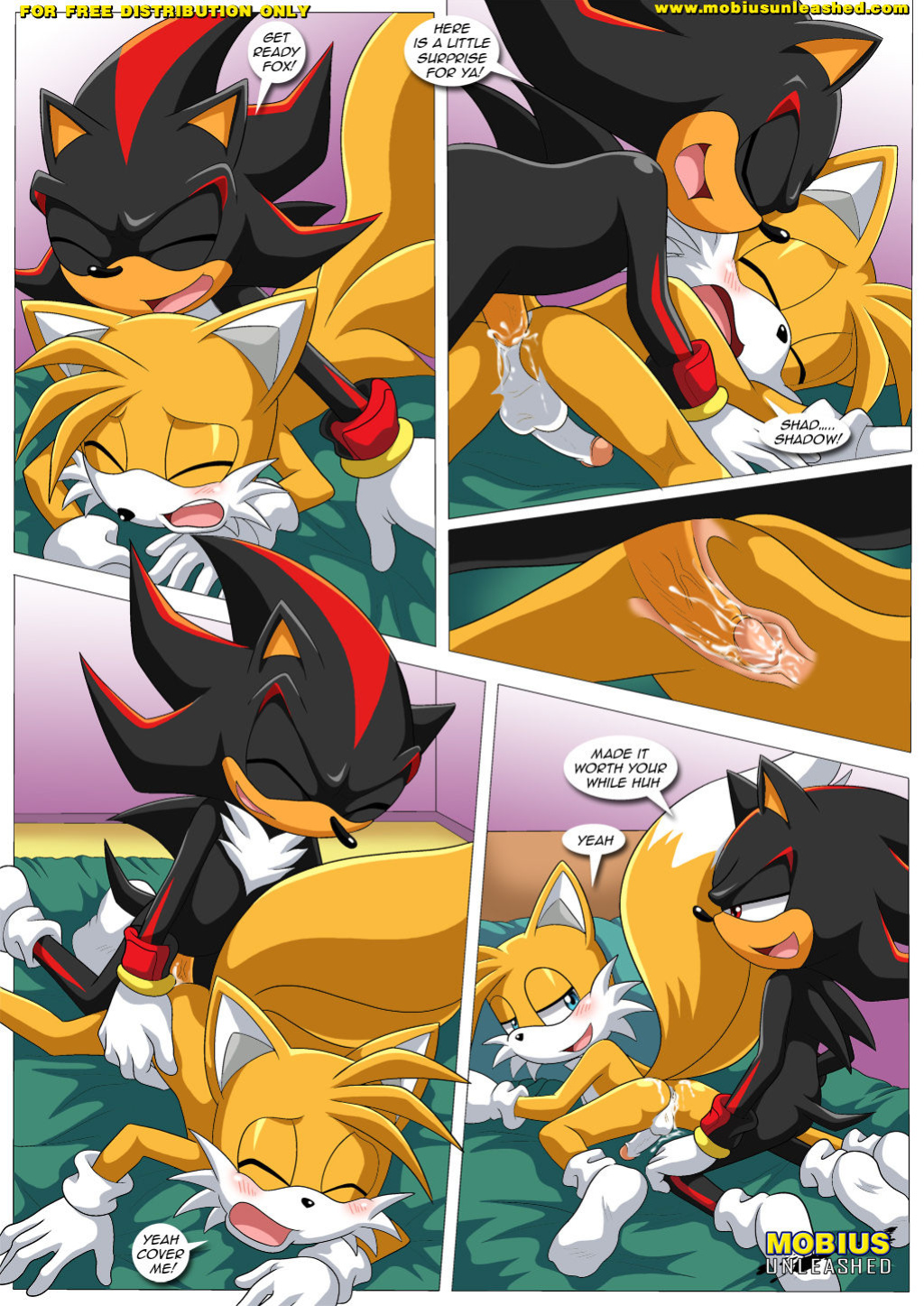 [Palcomix] Shadow & Tails