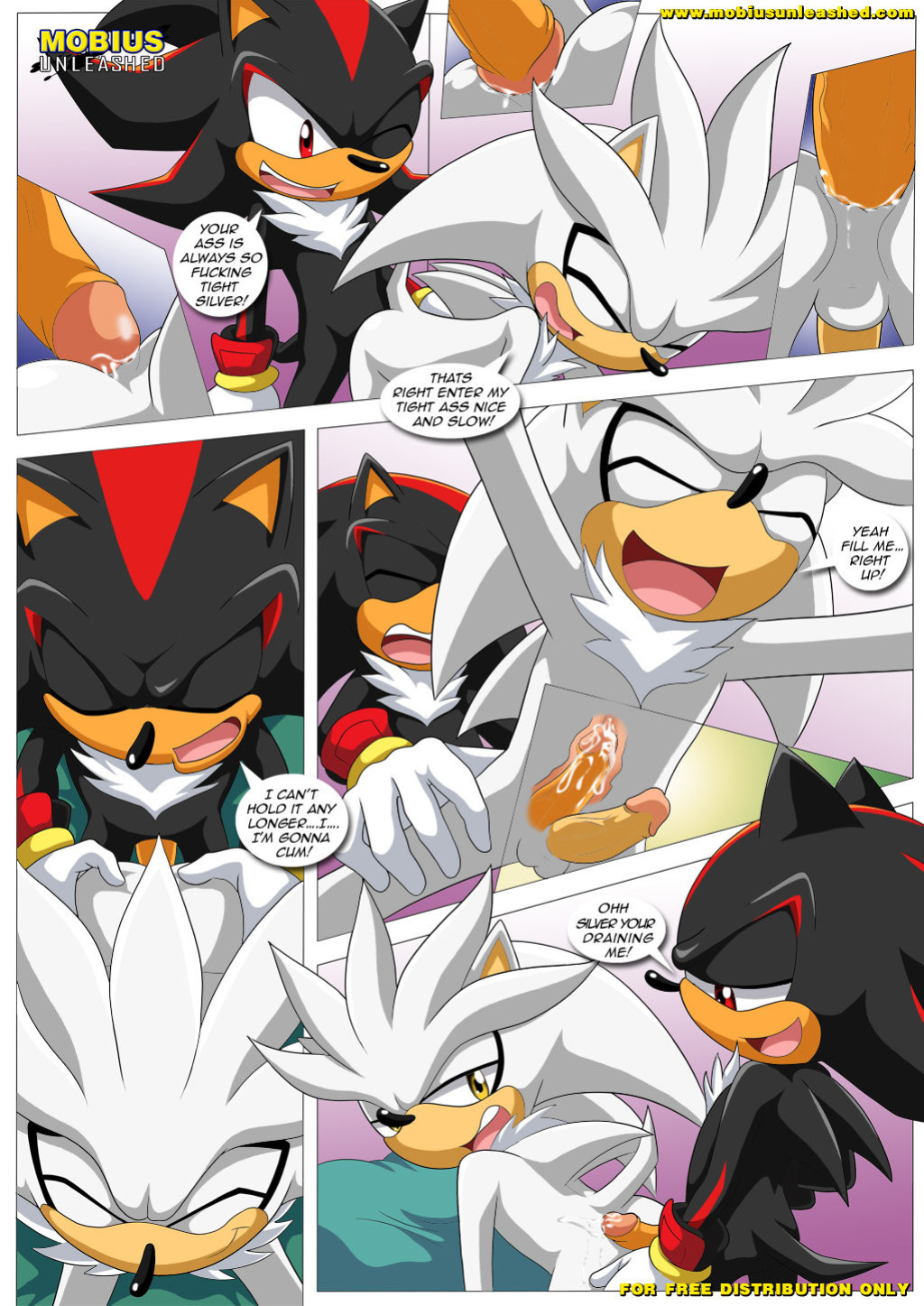 [Palcomix] Shadow & Tails