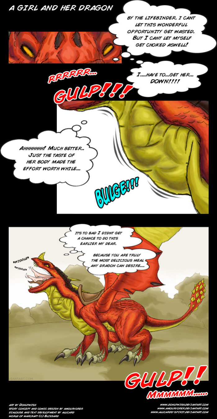 [Donutwish] A Girl and Her Dragon (World of Warcraft)