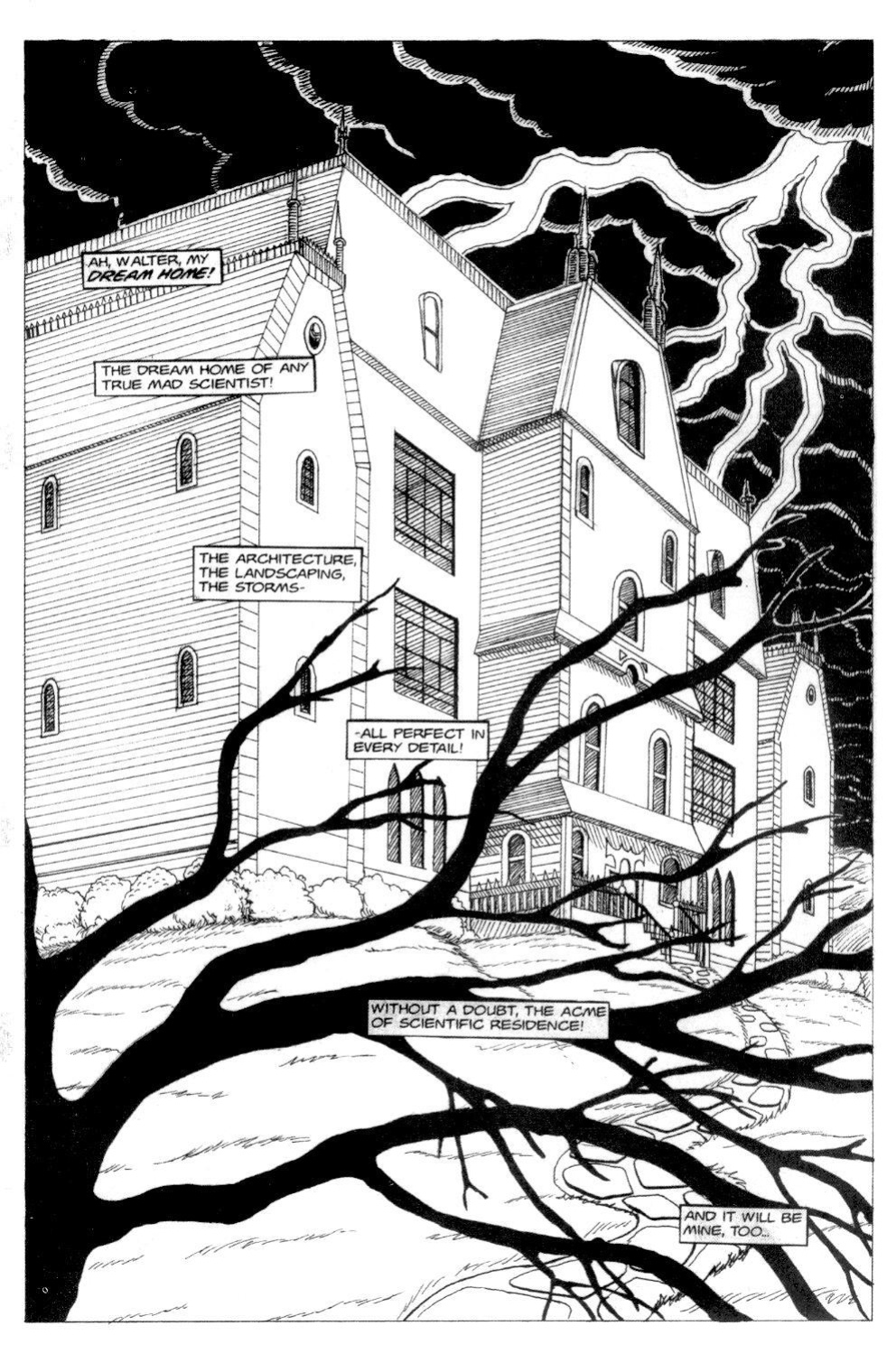 [John Barrett, John Timms, The Brothers Grinn] The Magnificent Milkmaid #1