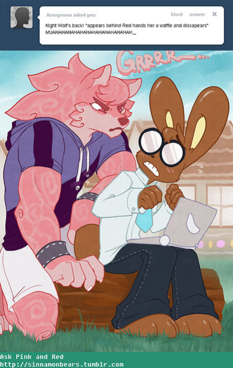 Sinnamon Bears (Kamicheetah)