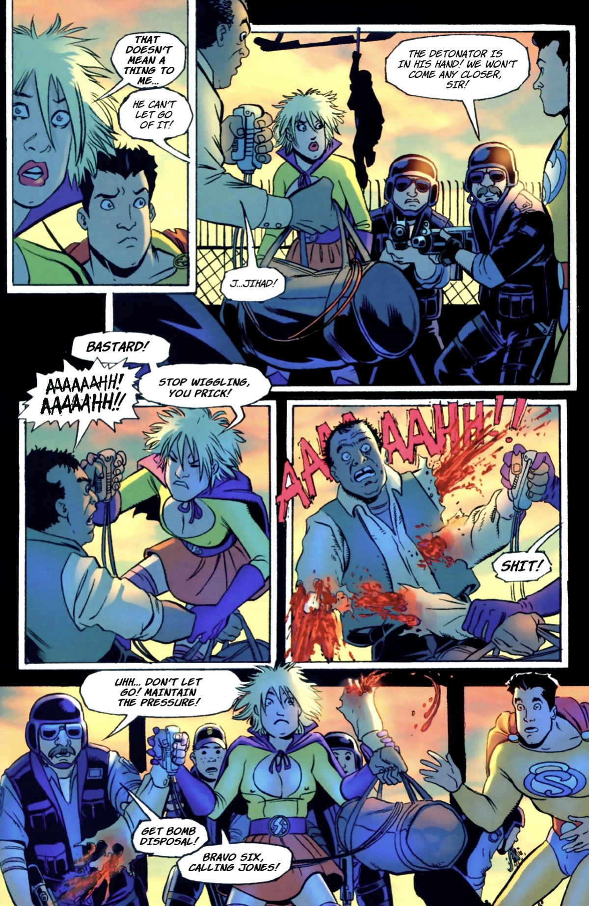 [Amanda Conner] The Pro