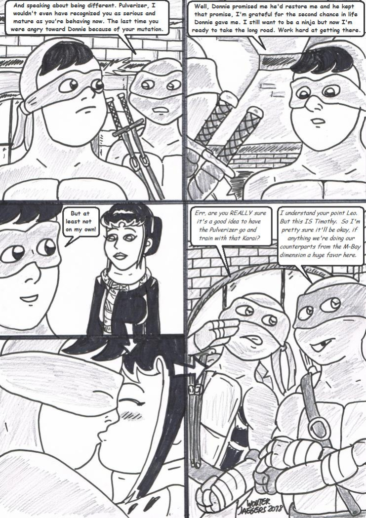 Teenage mutant Ninja Turtles: Karai versus Karai.