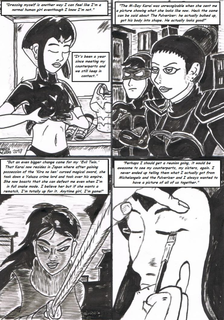 Teenage mutant Ninja Turtles: Karai versus Karai.