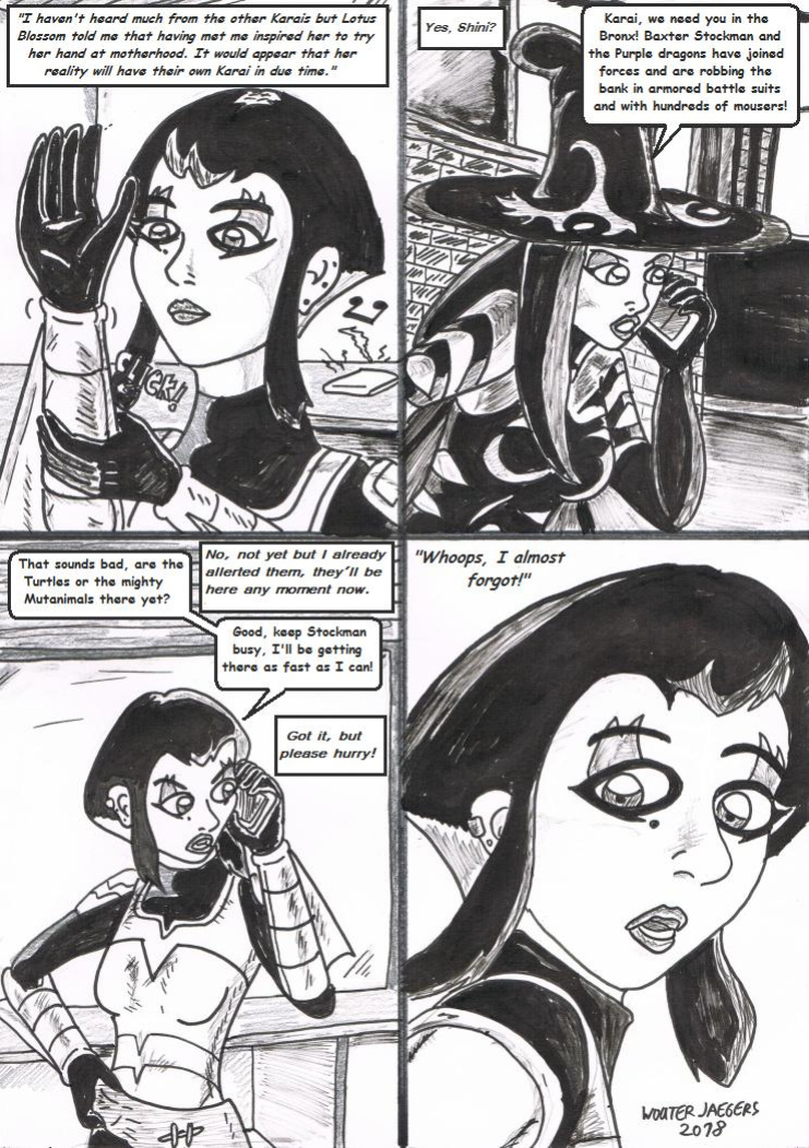 Teenage mutant Ninja Turtles: Karai versus Karai.
