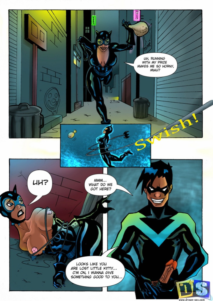 [Drawn-Sex] Nightwing and Catwoman