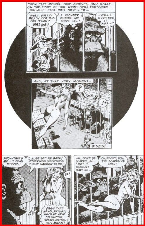 [Wallace Wood] Sally Forth #5