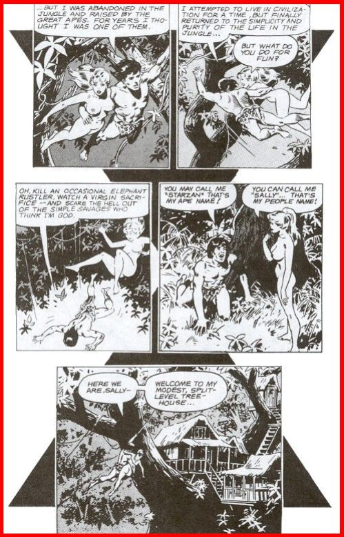 [Wallace Wood] Sally Forth #5