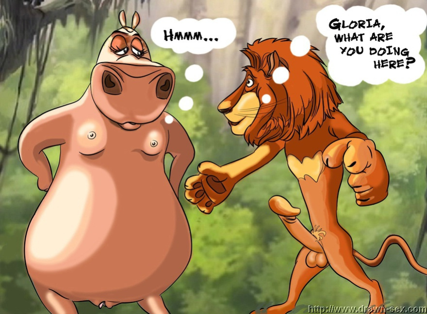MADAGASCAR & THE KING LEON DRAWN SEX