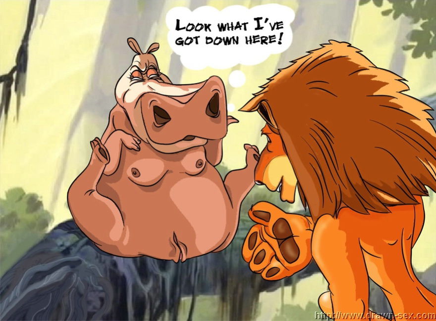 MADAGASCAR & THE KING LEON DRAWN SEX