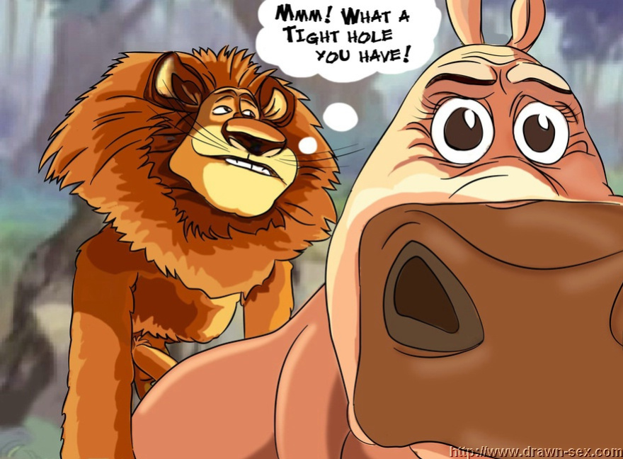 MADAGASCAR & THE KING LEON DRAWN SEX