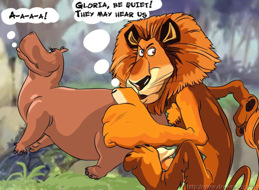 MADAGASCAR & THE KING LEON DRAWN SEX