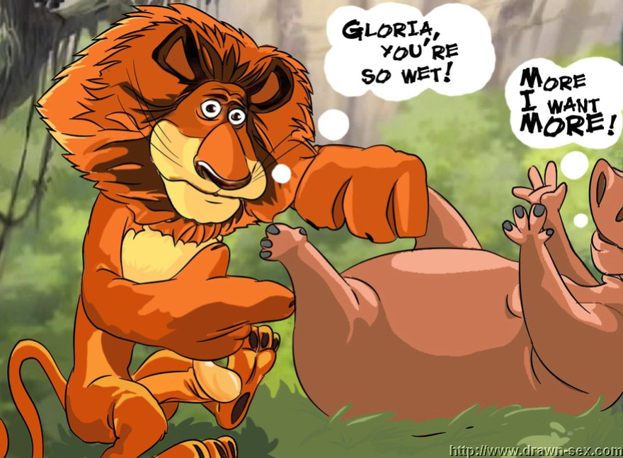MADAGASCAR & THE KING LEON DRAWN SEX