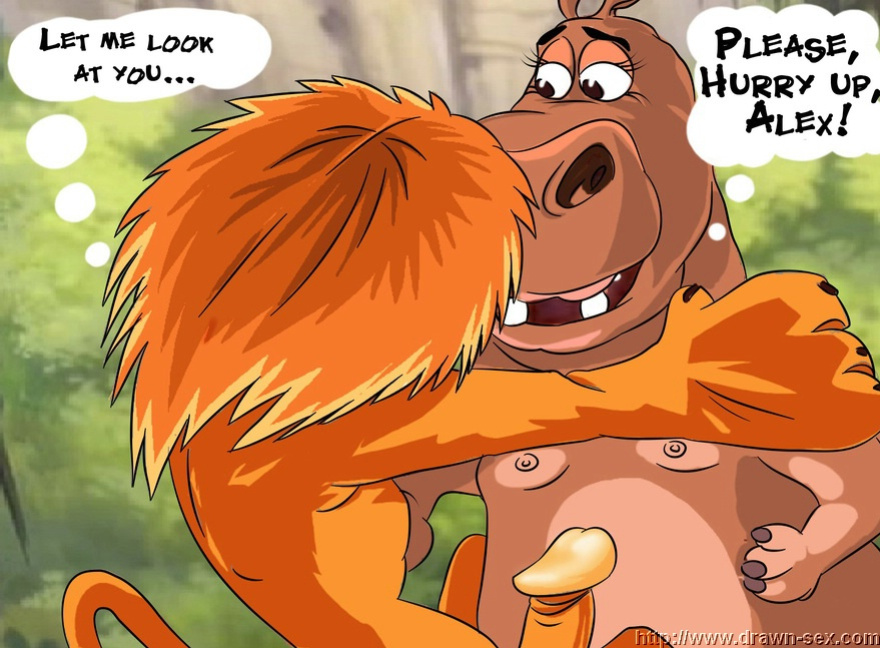 MADAGASCAR & THE KING LEON DRAWN SEX