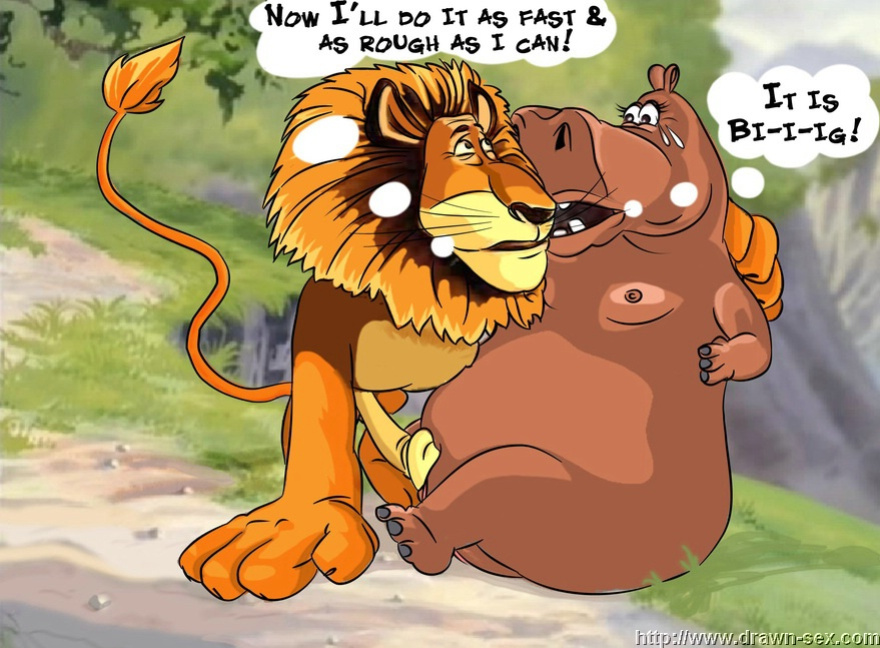 MADAGASCAR & THE KING LEON DRAWN SEX