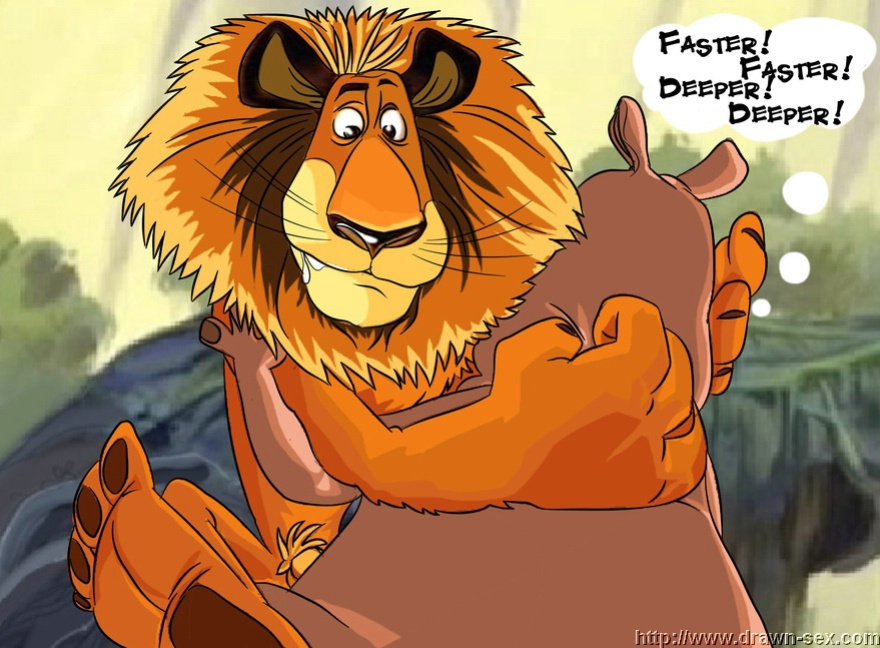 MADAGASCAR & THE KING LEON DRAWN SEX