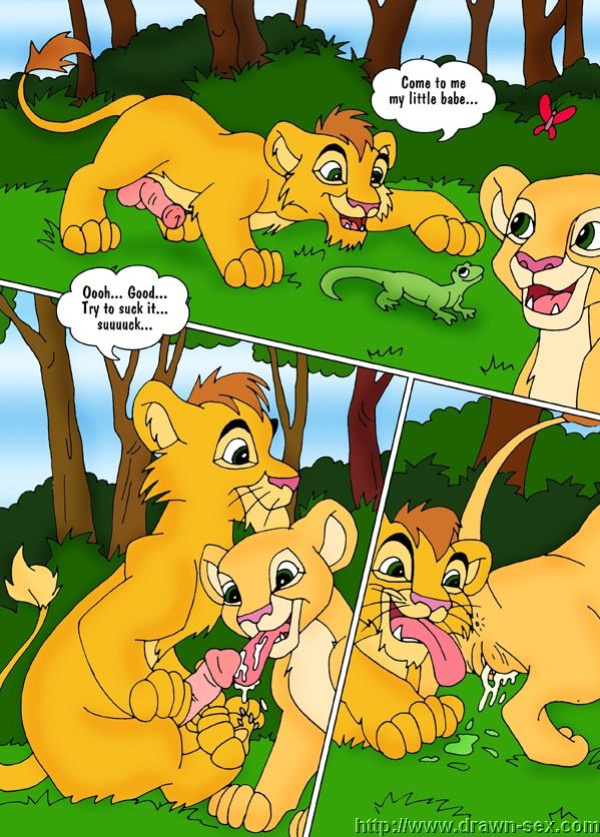 MADAGASCAR & THE KING LEON DRAWN SEX