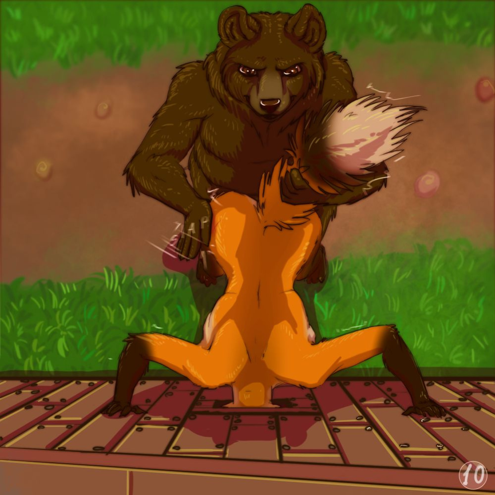 The Fox and The Bear