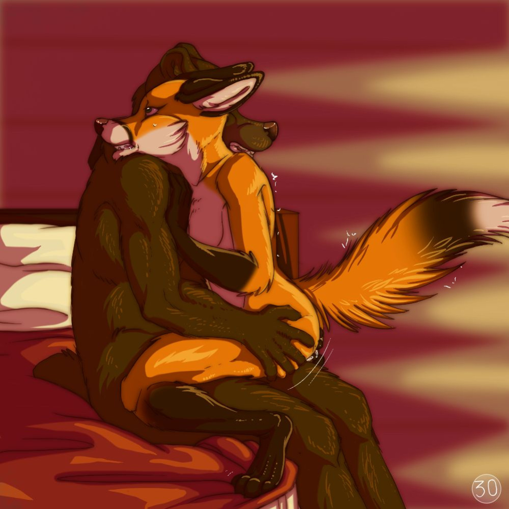 The Fox and The Bear