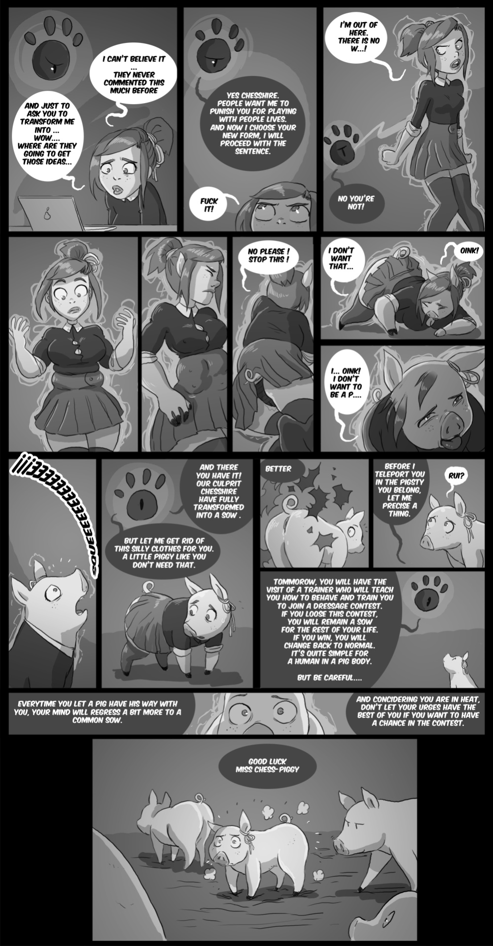 [Chesshire88] The Trial