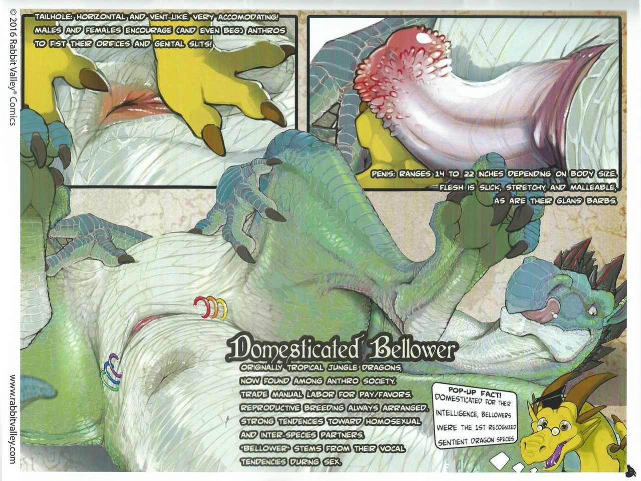 Dragon's Hoard Volume 6