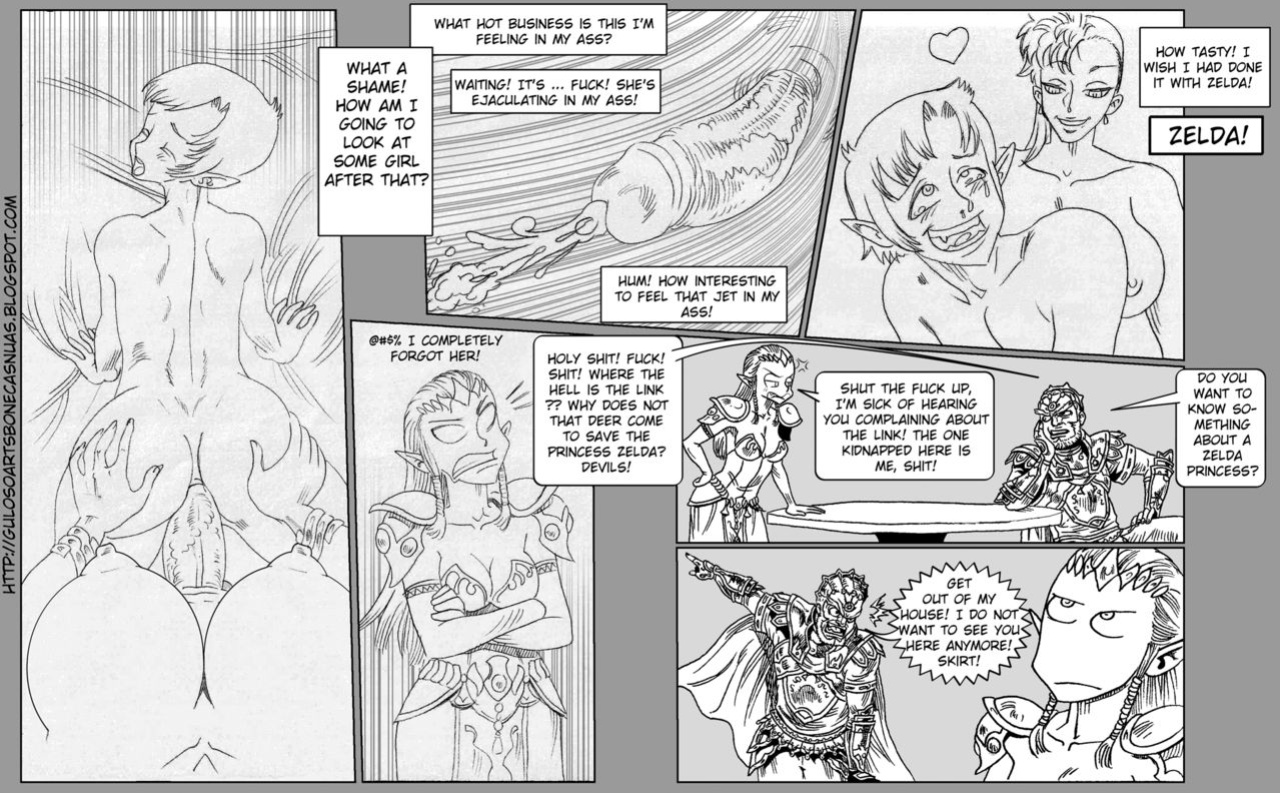 Legend of Zelda Link's Dream