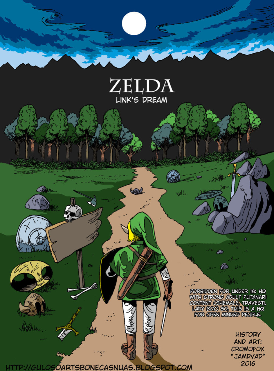 Legend of Zelda Link's Dream