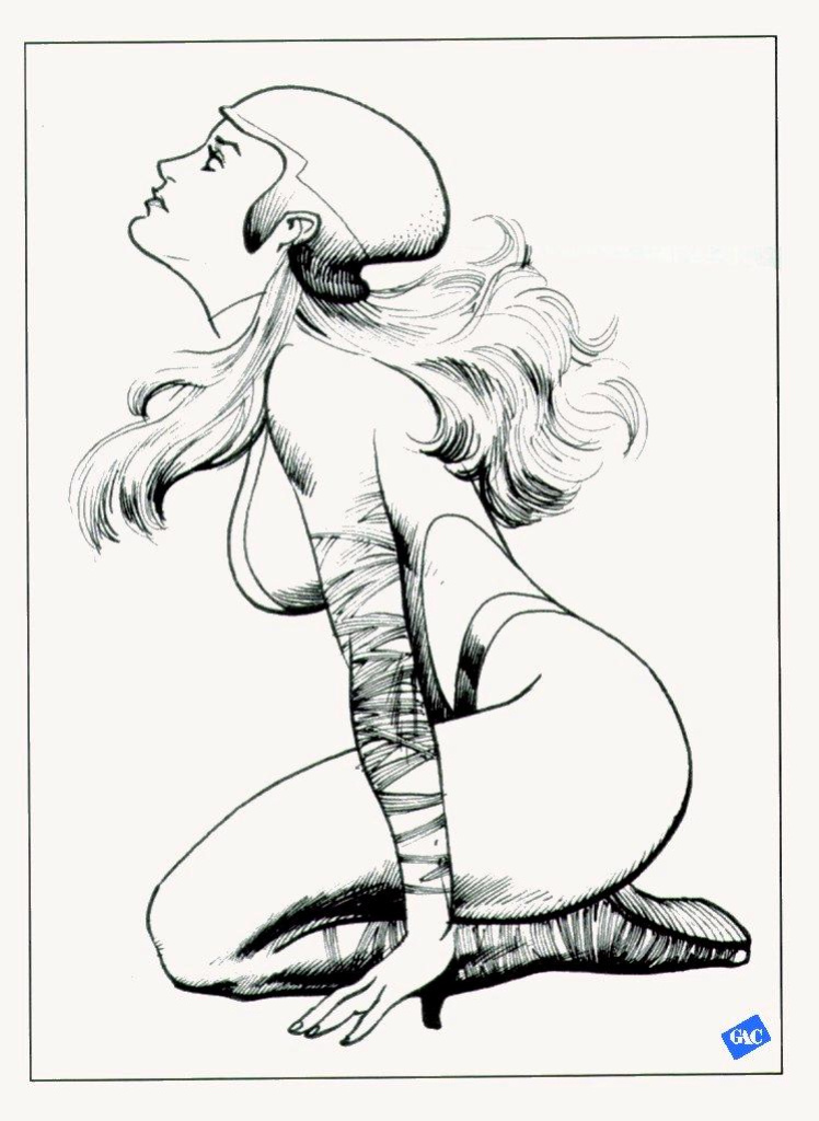 [Frank Cho] Illustrator