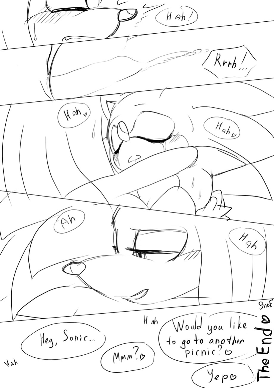 knuxonic comic [KrazyElf]