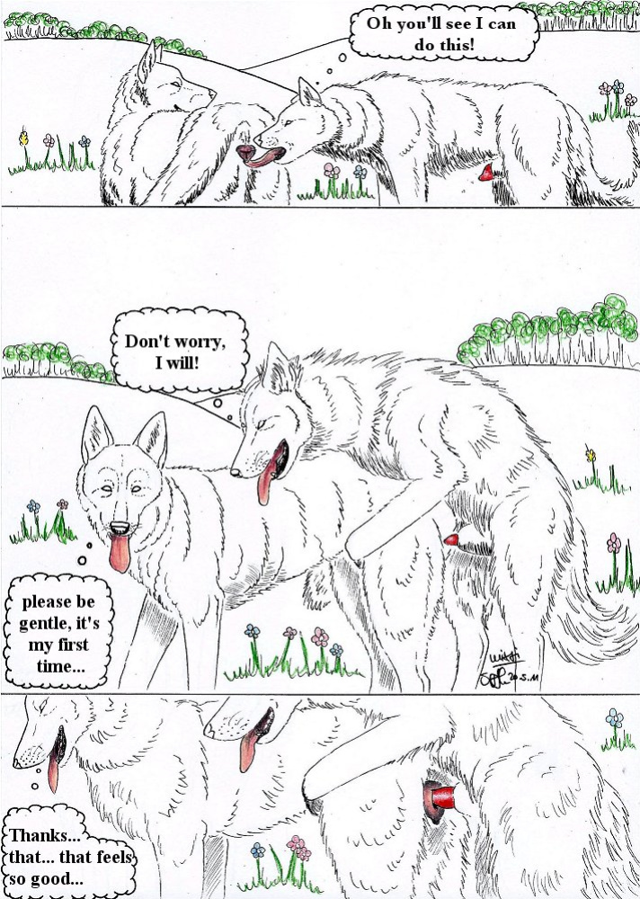 [Mixxiwuff] Balantes Tueri