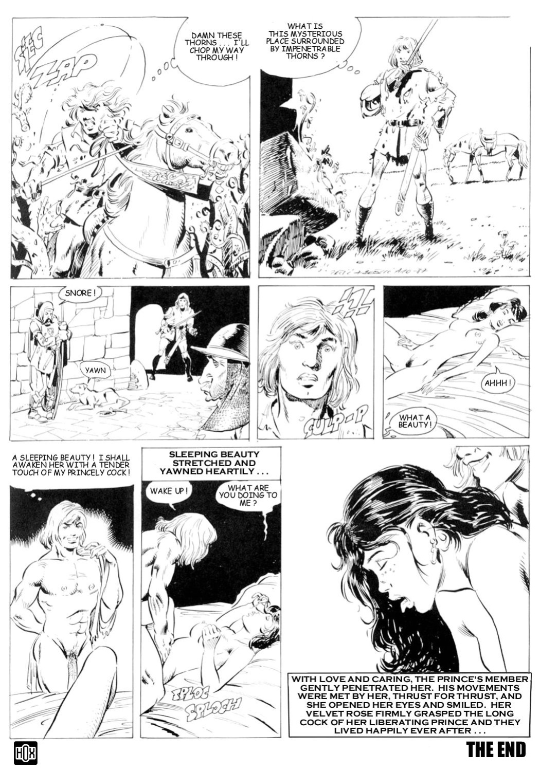 [Stanko Bešlić] Dornmöschen | Thornpussy (Various) [Hoxdude]