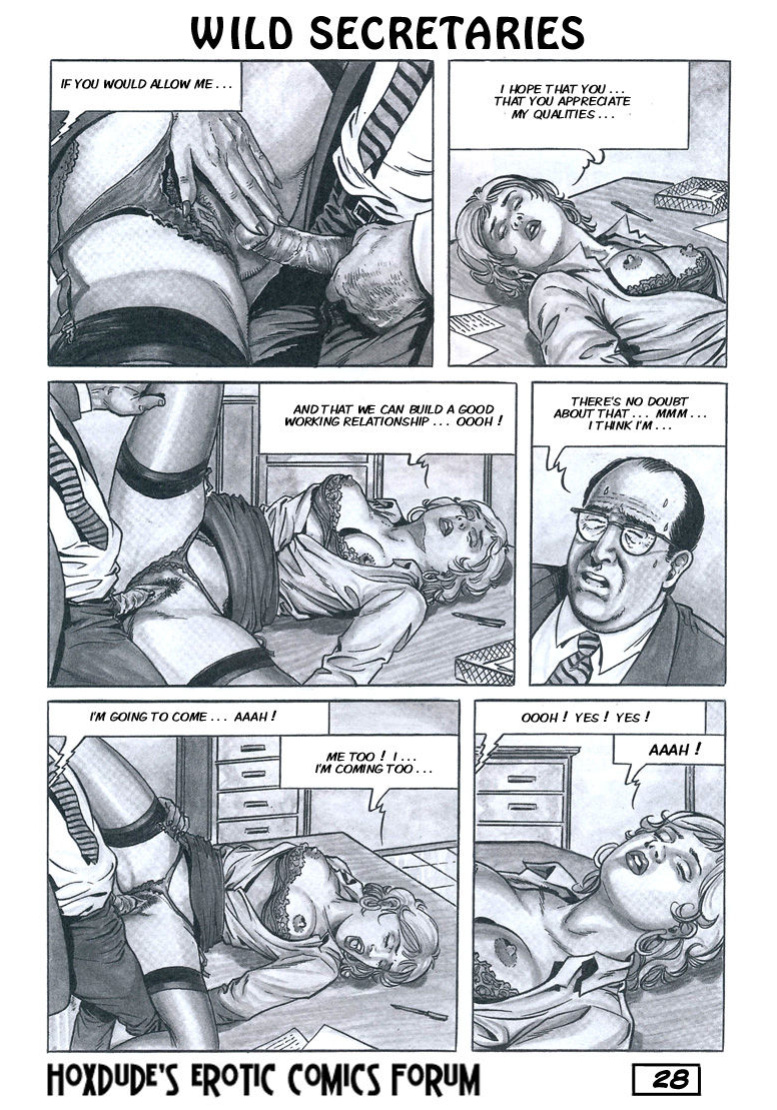 WILD SECRETARIES - BY CHRIS - ENGLISH TRANSLATION