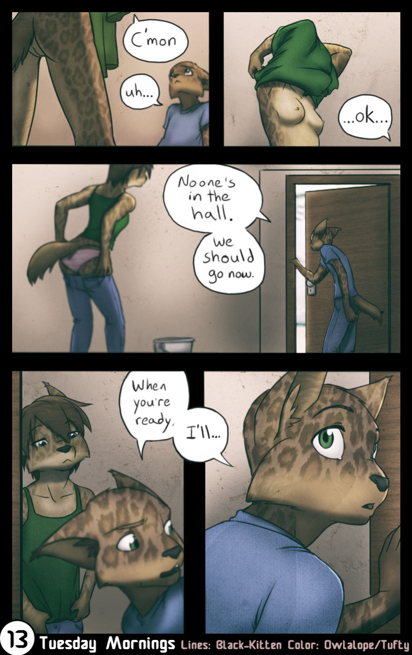 [Black-Kitten] Tuesday Mornings [Colorized]