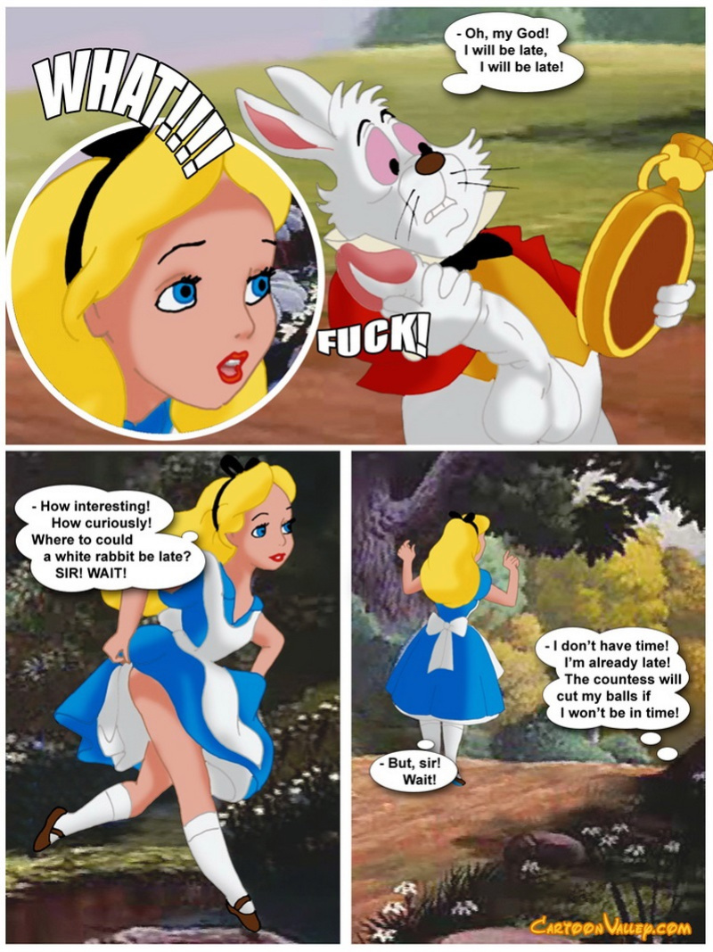 Cartoon Valley - Alice in Wonderfuckers Land