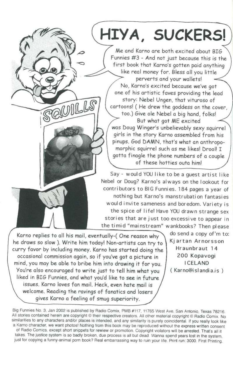 big funnies volume 3