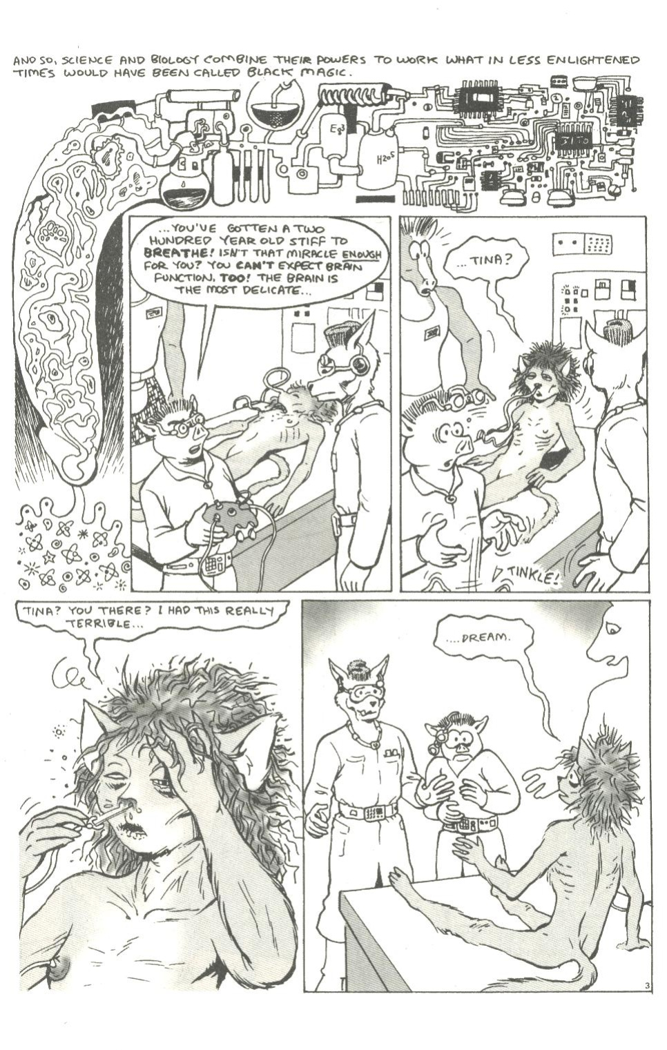 big funnies volume 8