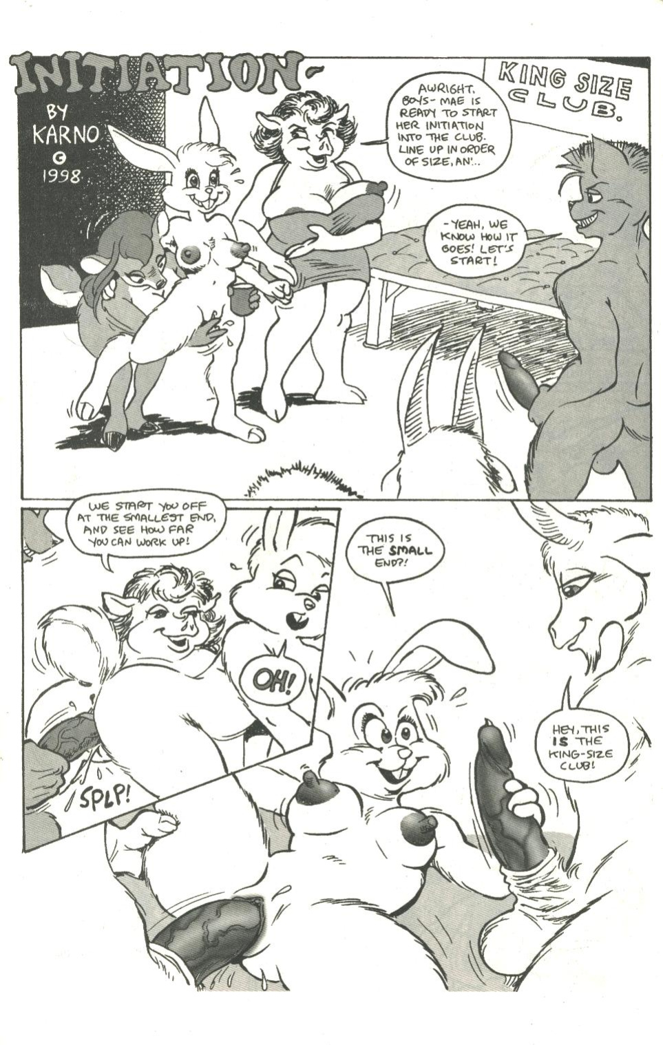 big funnies volume 8