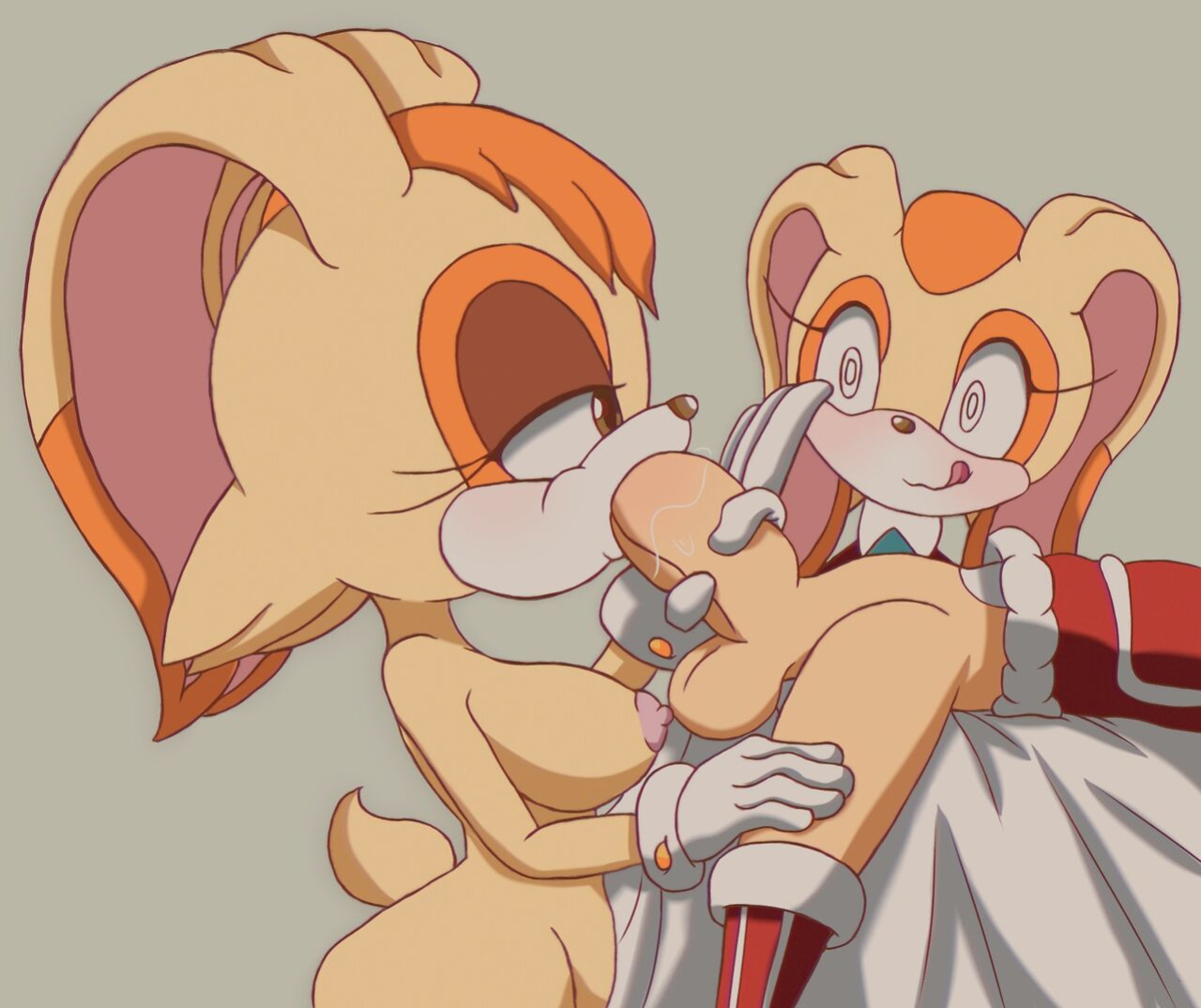 [AnoNingen] Rabbit Threesome (Sonic The Hedgehog)