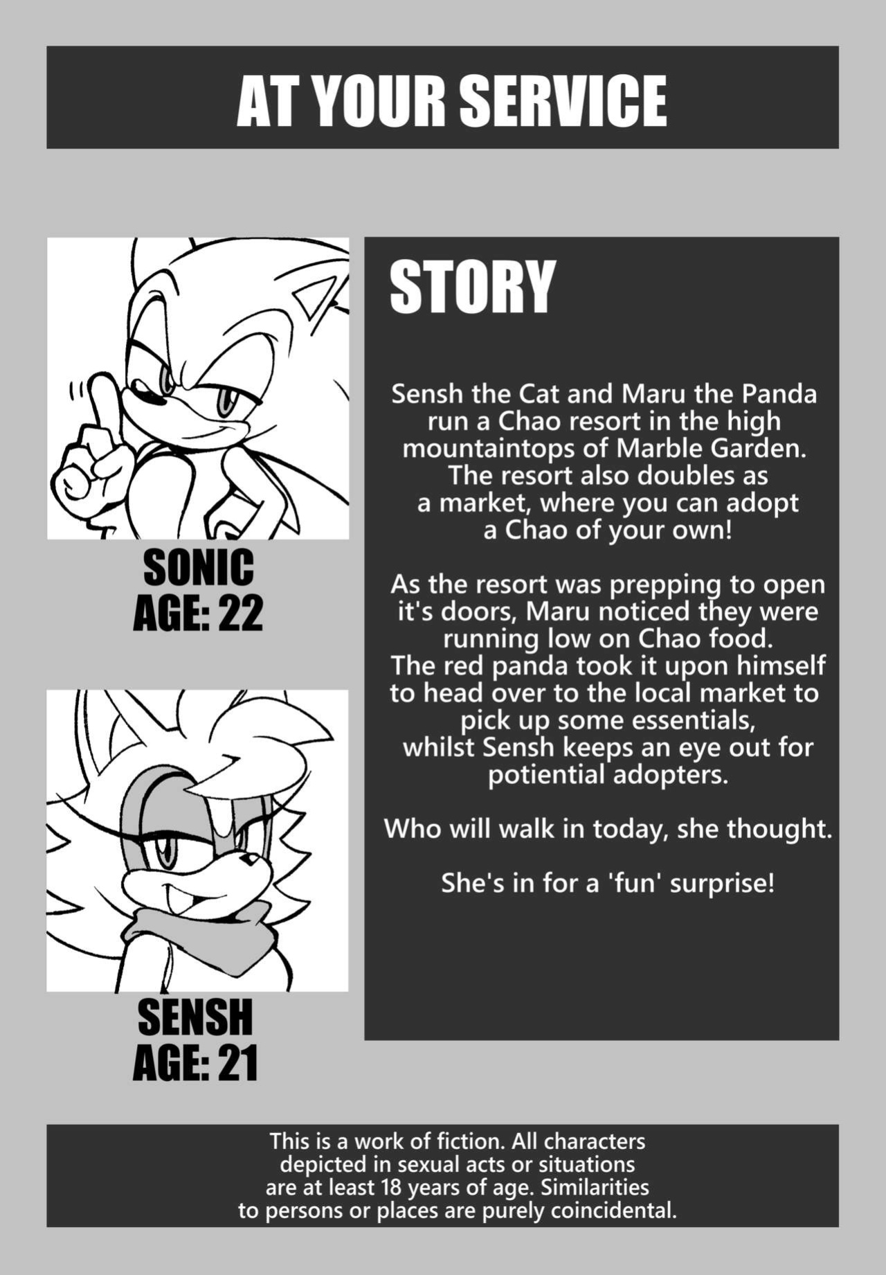 [Senshion] At Your Service (Sonic The Hedgehog)