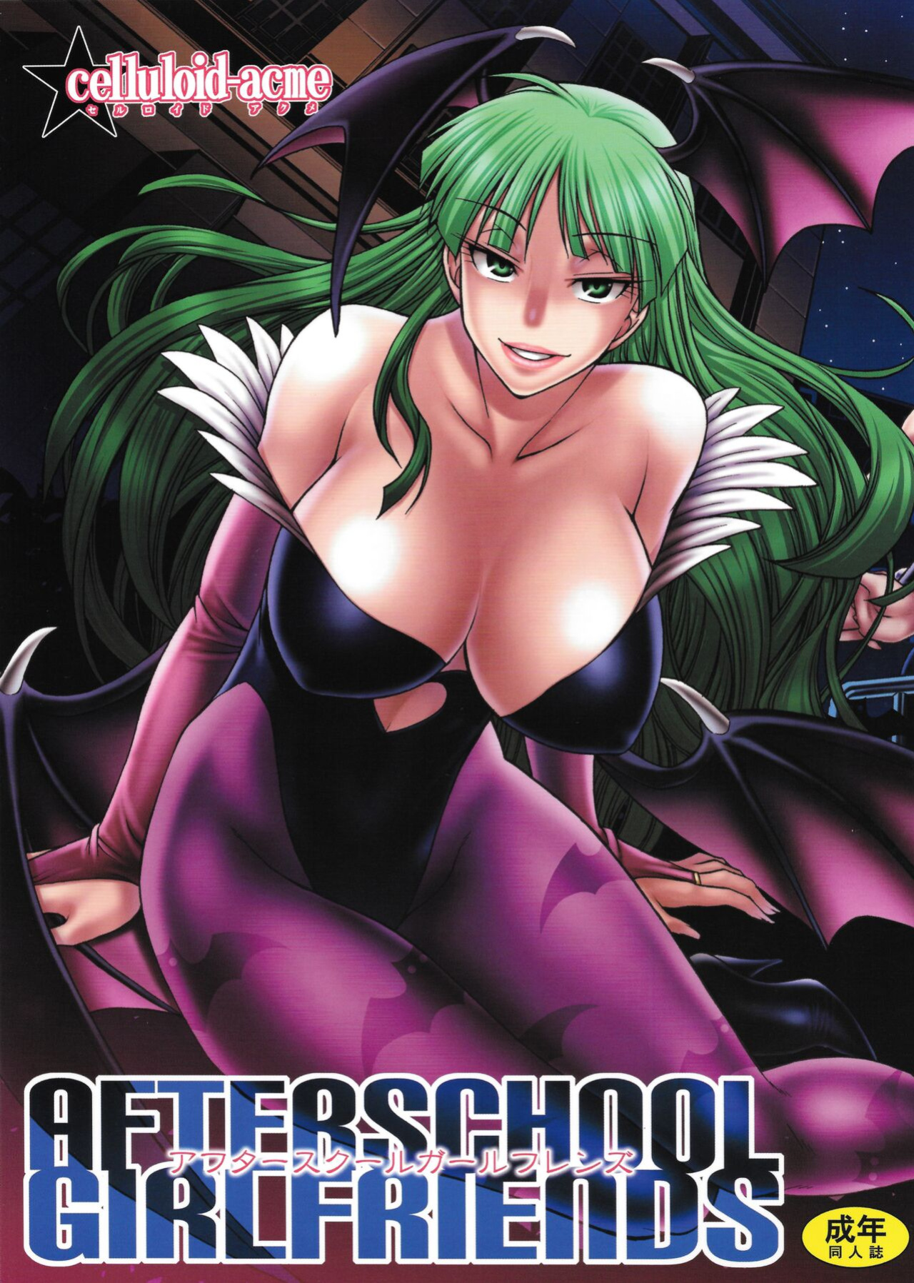 (C85) [CELLULOID-ACME (Chiba Toshirou)] AFTERSCHOOL GIRLFRIENDS (Various)