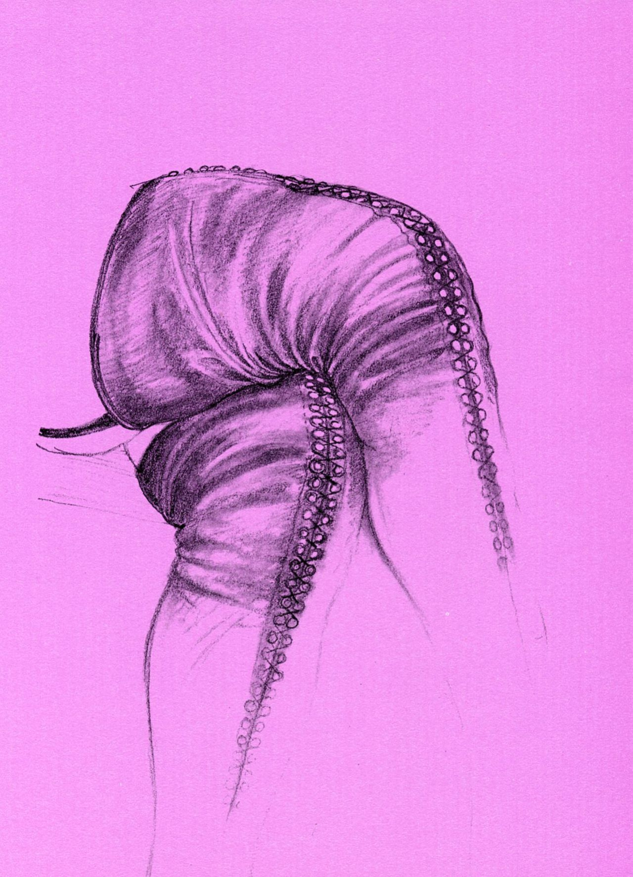 [Tomi Ungerer] Erotoscope [english][german][french] [Regdul]